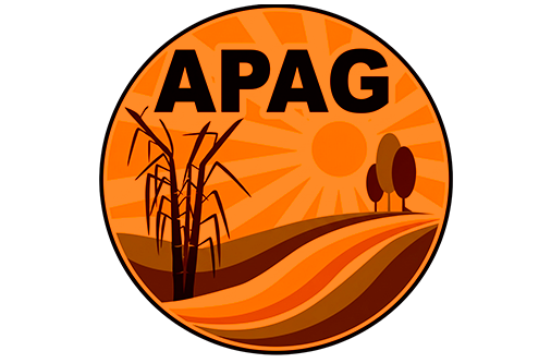 APAG — cliente de Leo Systems